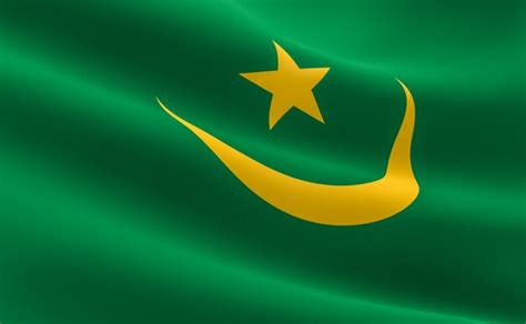 Premium Photo | Flag of mauritania. illustration of the mauritanian ...