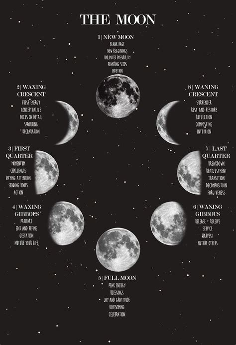 Moon Phases Wall Art Print, Witch Gift Poster, Celestial Decor, Galaxy Wall Art, Lunar Phases ...