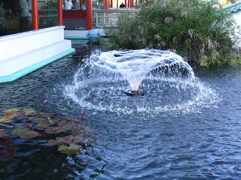 Solar Powered Small Pond Fountains Pumps | Backyard Design Ideas