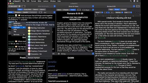 e-Sword X for Mac. Download Free and Review [Latest Version] macOS