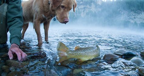 Fishing - Visit Idaho Falls