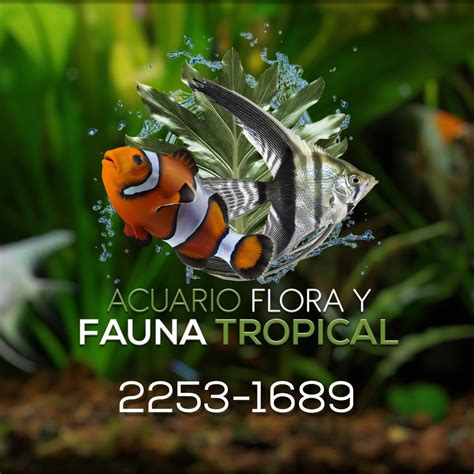 Acuario Flora y Fauna Tropical | San José