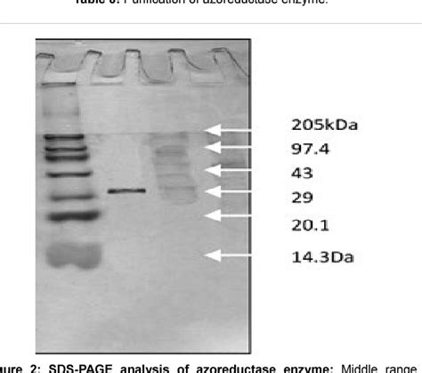 Pluralibacter gergoviae | Semantic Scholar