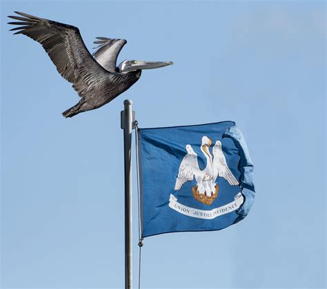 Louisiana Flag - Outdoor State Flags (Made in the USA) by USA Flag Co.