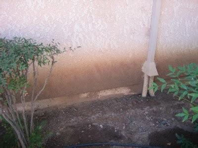 Water Damaged Stucco – Types and Causes | Thom On Plaster