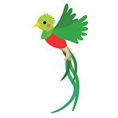 Flying Quetzal bird animal cartoon character. Isolated on white... | Cartoon animals, Quetzal ...