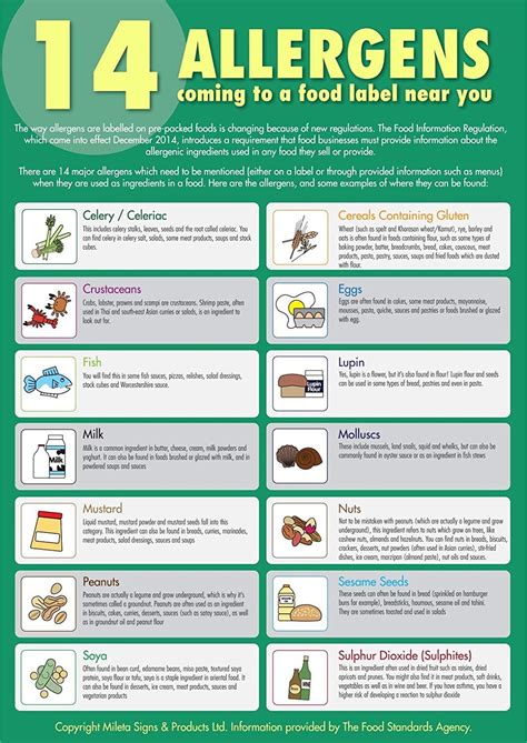 A3 (420x297mm) The 14 Allergens Poster.: Amazon.co.uk: Office Products | Food safety training ...