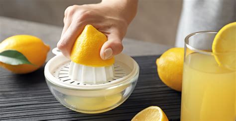 5 Best Lemon Squeezers UK (2022 Review) | Spruce Up!