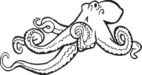 Free Free Kraken Cliparts, Download Free Free Kraken Cliparts png ...