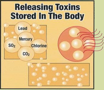 Toxins | Hijama Cups