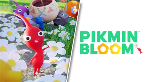 Pikmin Bloom Big Flowers: How to grow large sprouts on the map ...