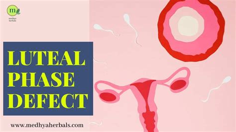 8 Best Natural Ways to Overcome Luteal Phase Defect - Medhya Herbals