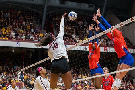 Minnesota Volleyball Sweeps Florida - The Daily Gopher