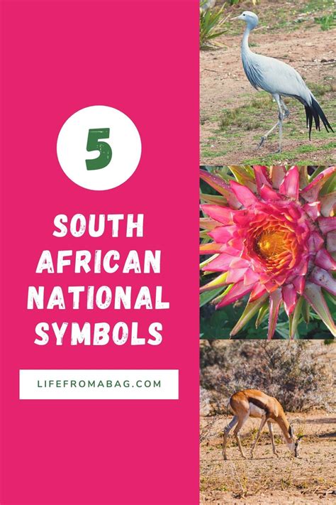 Five National Symbols Of South Africa