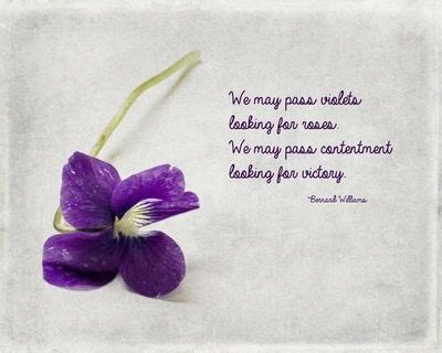 Purple Flower with Sweet Violets Quotes