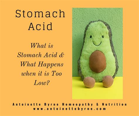 Stomach Acid - What is It & Why has it such a Bad Reputation ...