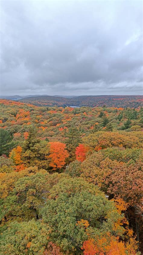 Fall colours from Dorset Lookout Tower : r/ontario