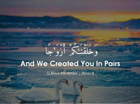 And We Created You In Pairs - Arabic Calligraphy For You: "And We created you in pairs ... : And ...