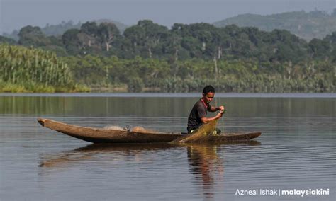 Undrinkable: The Story of Tasik Chini Pollution | Pulitzer Center