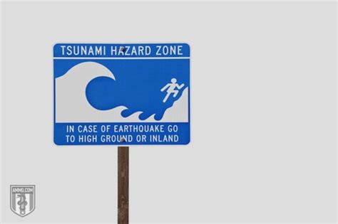 How to Survive a Tsunami: A Tsunami Survival Guide