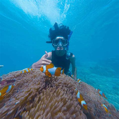 Cairns, Australia. ¡El paraíso de los más aventureros!