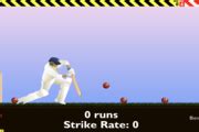 Top Spinner Cricket - Play Free Online Games