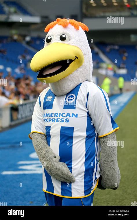 Gully, Brighton and Hove Albion mascot Stock Photo - Alamy