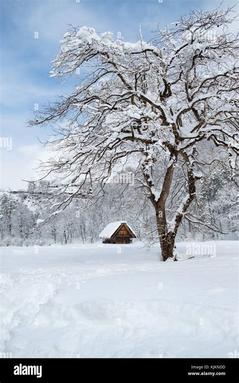 Historic Villages of Shirakawa-go and Gokayama, Japan. Winter in ...