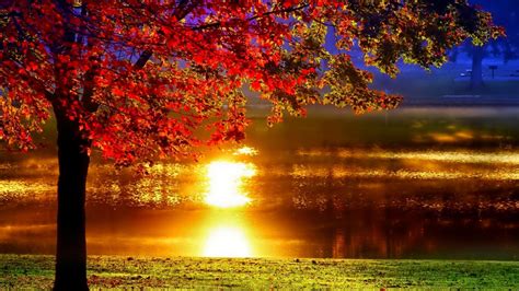 Autumn Trees Wallpapers - Wallpaper Cave