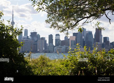 Downtown Toronto skyline Stock Photo - Alamy