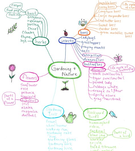 Vocabulary Words for Preschoolers: Using Mind Mapping to Brainstorm New Themes