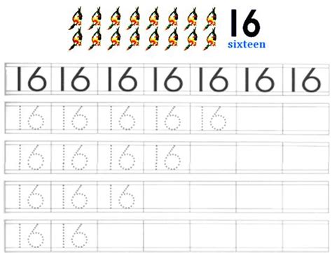 Worksheet on Number 16 | Free Printable Worksheet on Number 16