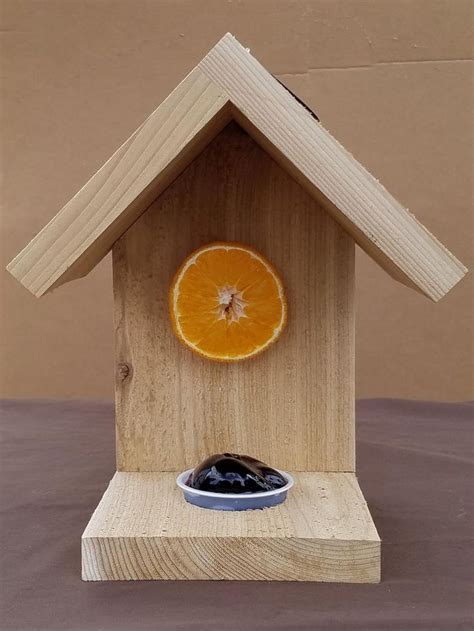 Oriole Bird Feeder - Etsy | Oriole bird feeders, Diy bird feeder ...