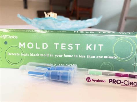 The Best DIY Mold Test Kits (2023 Lab Results): Are They Worth It? - The Mold Insider