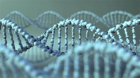 Certain Sarcoidosis Features Linked to Osteopontin Gene Variants