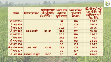 PAU Ludhiana-recommended paddy varieties for kharif cultivation ...