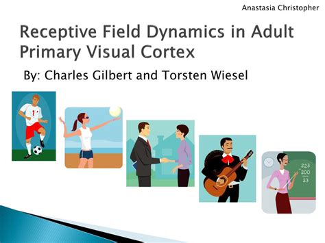 PPT - Receptive Field Dynamics in Adult Primary Visual Cortex ...