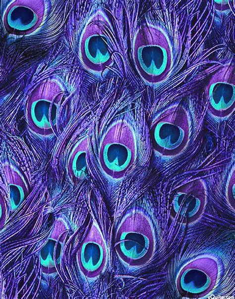 Proud as a Peacock - Tail Feathers - Purple - DIGITAL PRINT | Peacock ...