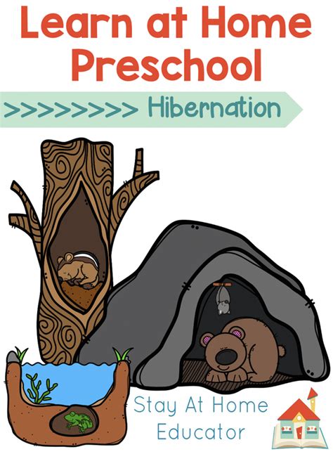 Hibernation Activities For First Grade