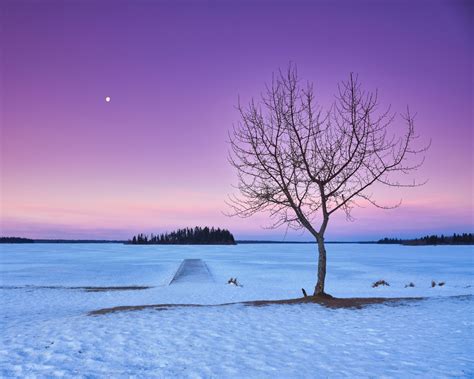 Things to Consider When Photographing Snow Landscapes | Fstoppers