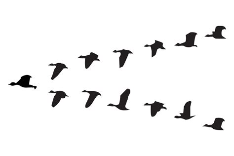 Birds Flying in a V Formation Clipart Graphic by littlebeeshop · Creative Fabrica