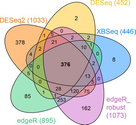 Venn diagram - 5 circles | Information visualization, Venn diagram, Diagram