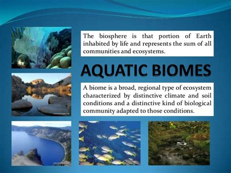 Aquatic biomes