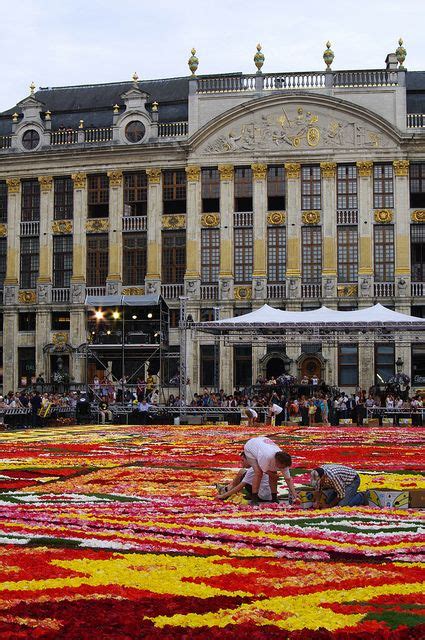 Brussels flower carpet 2012 | Wonders of the world, Brussel, Belgium