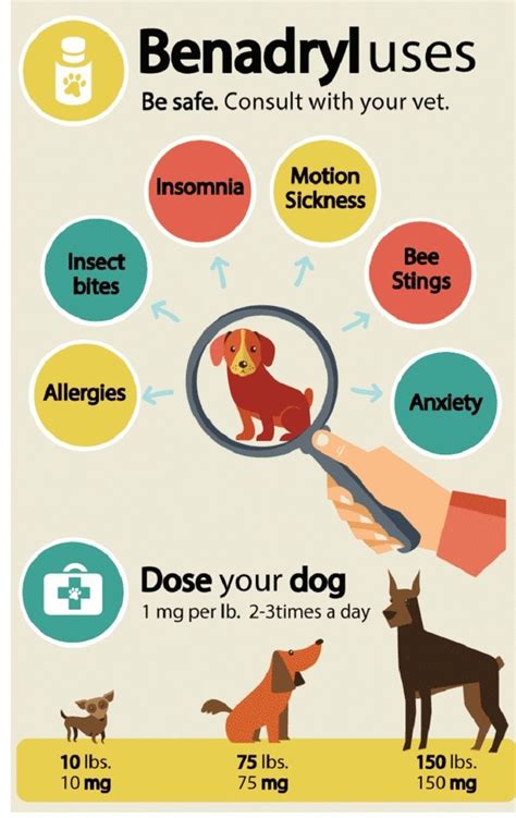 Pin by Teresa Pitts on Pets | Dog care tips, Dog care, Dog training obedience