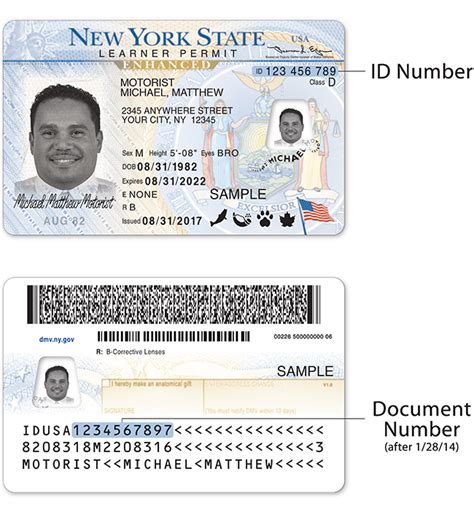 New York DMV | Get an enhanced driver license (EDL) or REAL ID