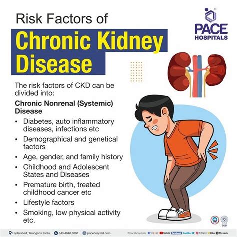 Kidney Failure Causes