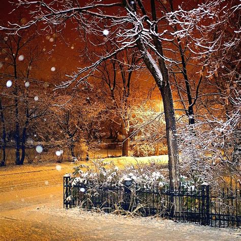 First Snowfall Photograph by Daniel Berman