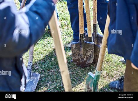 Team of workers ready to start planting trees with their shovels, teamwork concept Stock Photo ...
