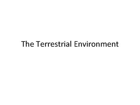 The Terrestrial Environment Terrestrial Environment Physical environment of